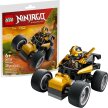 LEGO Ninjago (1)