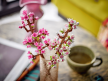 LEGO Botanicals Collection (6)