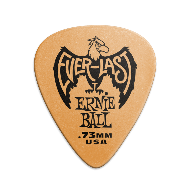 Ernie Ball P09190 (1)