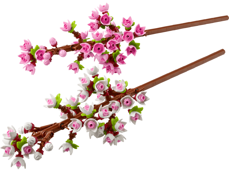 LEGO Botanicals Collection (2)