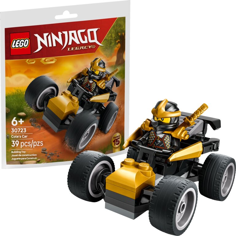 LEGO Ninjago (1)