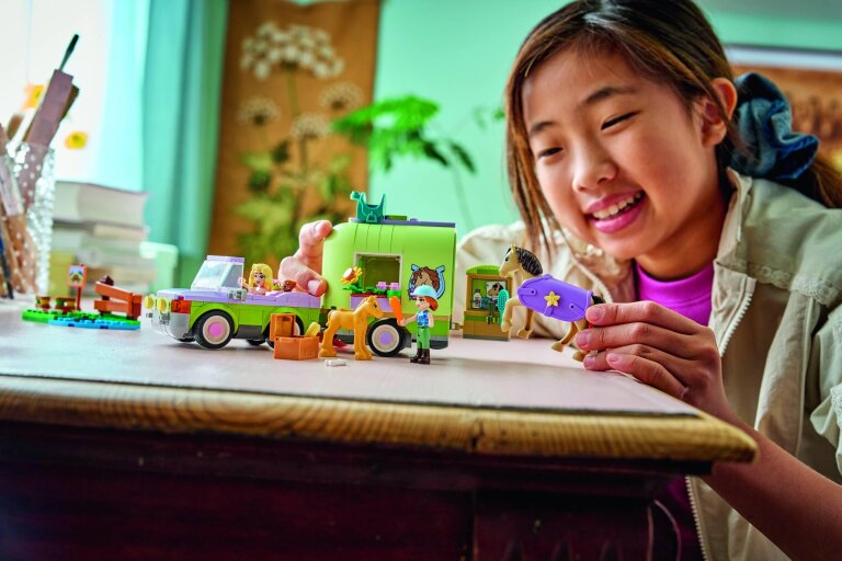 LEGO Friends (10)