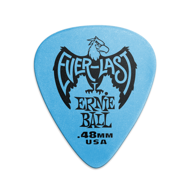 Ernie Ball P09181 (1)