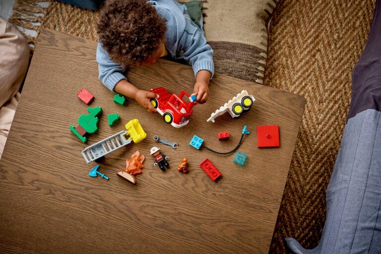 LEGO DUPLO (8)